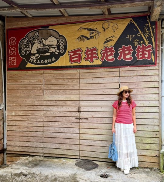 奮起湖 奮起步道  老街 老老街3119267