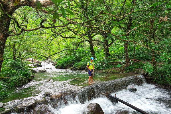 淡蘭古道中路之中坑、崩山坑古道O型685795