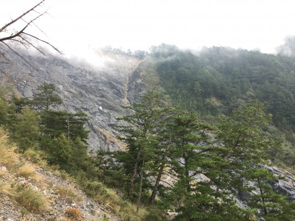 20161109-10_奇萊南華873701