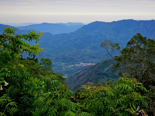 藤枝山-小百岳#68-高雄市桃源區2750337