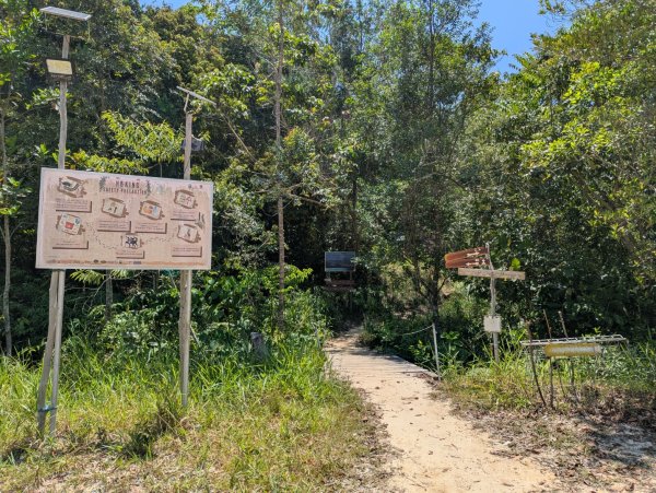 20260417 汶萊 - Bukit Si Patir3038249