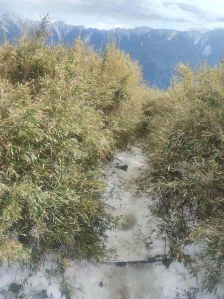 合歡山昆陽2701242