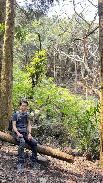 崩潰陡上的水雲三星～鳥嘴山（上島山）2095287