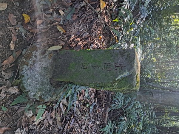 2026樟之細道：出關（聖關），老官道，挑沙古道及新開至卓蘭3118283