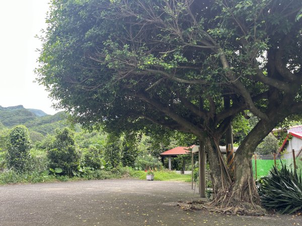 [踢不爛大地遊戲-05/10] 2024_0428 南子吝登山步道2492137