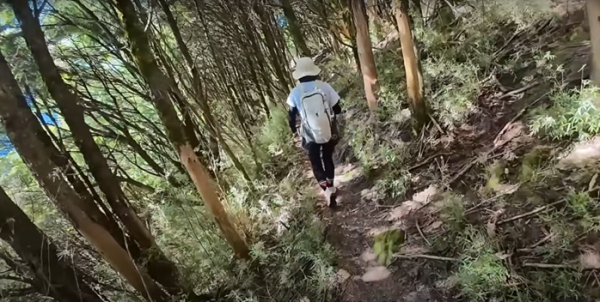 塔塔加五連峰2831426