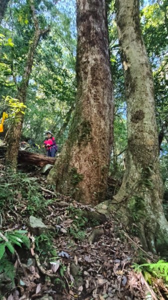 唐穗山11408162860928