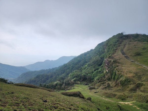小百岳No.82⛰灣坑頭山3003061