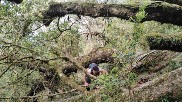 茶仁山單攻2025年4月4日2753323