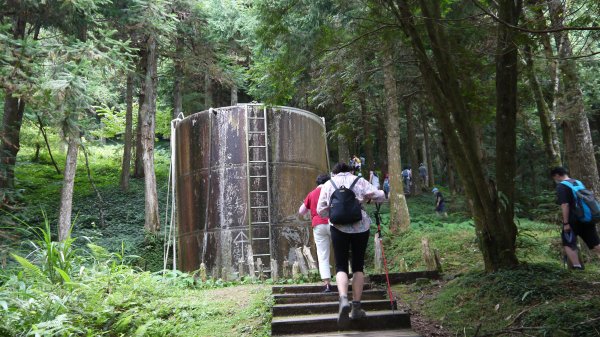 東眼山登山健行趣(小百岳22號)1544315