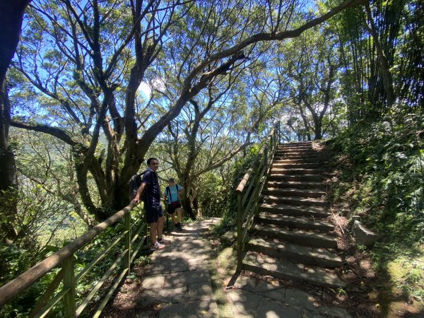 內雙溪的消暑密碼｜走一趟坪頂古圳就懂2861872