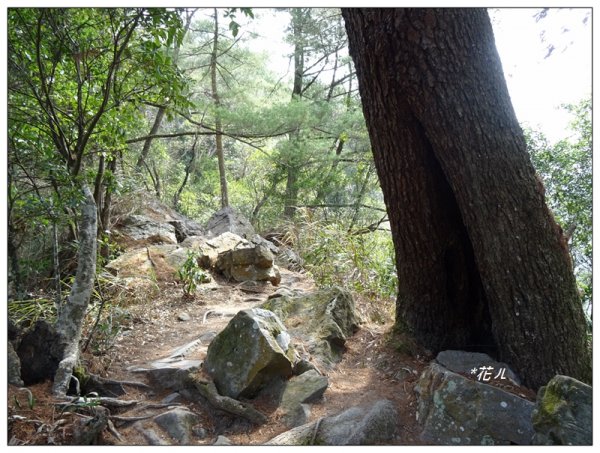 唐麻丹山/裡冷步道868358