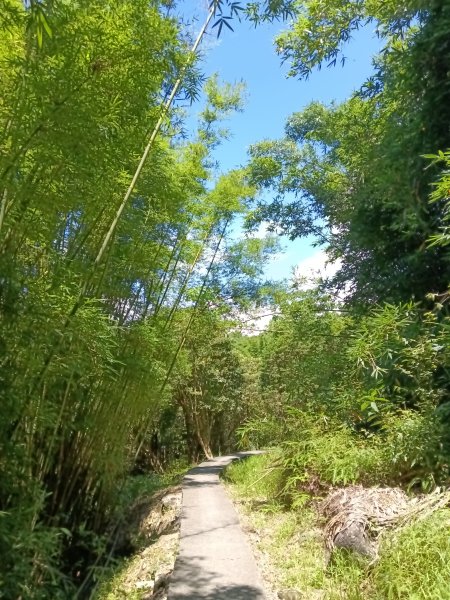 貢寮區文秀坑古道+觀日嶺步道O型2809175