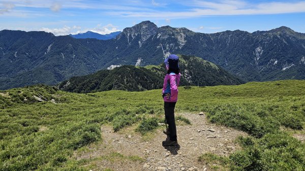 240714-石門山+合歡尖山+合歡東峰。美美兔凌晨3點出門來個合歡群峰半日遊。2567170