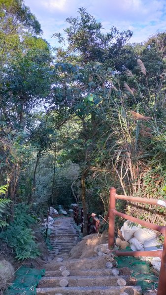 阿拔泉山/觀音石山/紅楠坑山/大巃頂/獨立山 環狀1948759