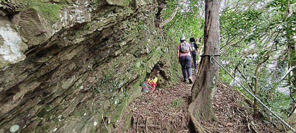 2025/07/19-大艽芎古道上溪洲山O型2841564