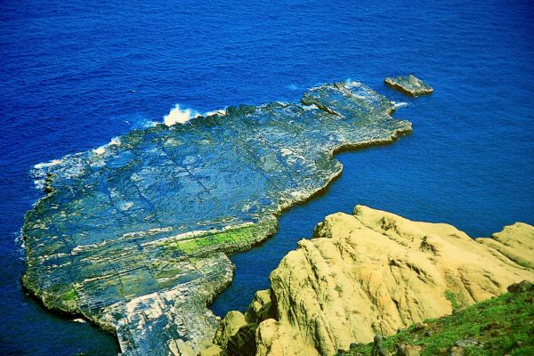 澎湖采風---玄武岩-藍洞-天人菊-燕鷗139218