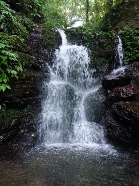 美呆～金黃山毛櫸的饗宴（樂佩、卡保稜線）1155417