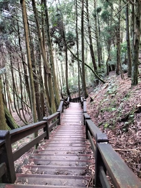 檜山巨木群步道2250278