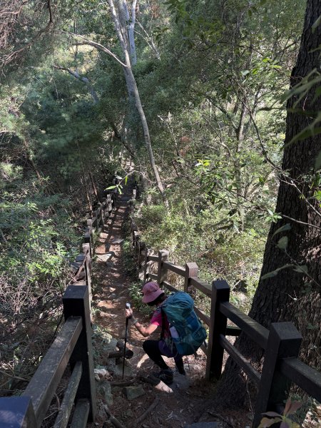 波津加山 202509142893368