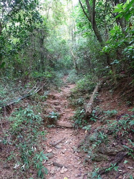 台灣小百岳-屏東笠頂山、棚集山和高雄之旅1169828