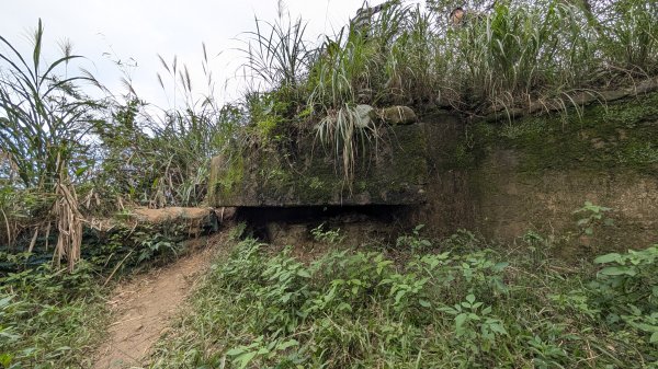 114.12.20劉銘傳隧道-獅球嶺北峰-獅球嶺東砲台山-獅球嶺池-獅球嶺砲台山之旅2966755