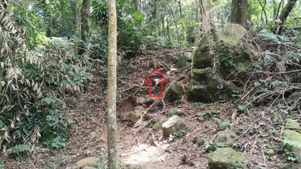 20251004 馬那邦山 - 珠湖 登山口2904931