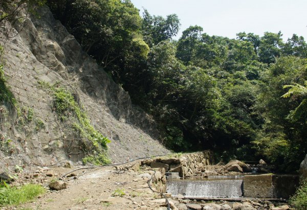 牡丹、燦光寮古道、九份1095917