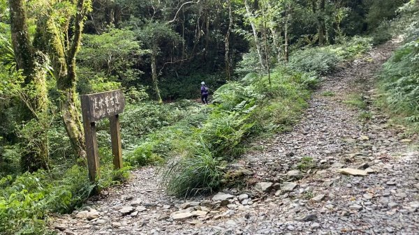 《從枋寮跑到大武｜2025浸水營超馬西進組全紀錄》；從黎明到雨中的終點：大漢林道 × 浸水營古道的十