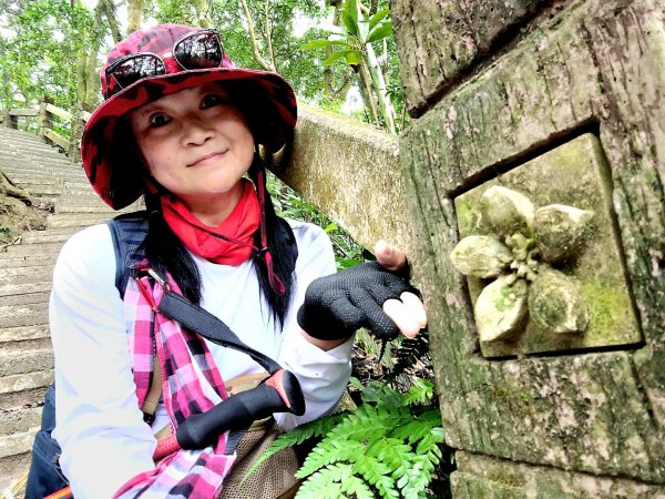 小百岳關刀山889m+銅鑼杭菊1924041