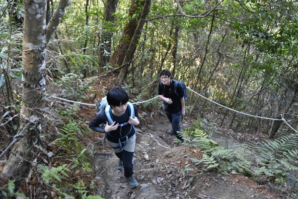 唐麻丹山。蝴蝶谷1243087