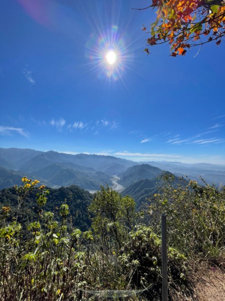 馬那邦山賞楓趣1549563