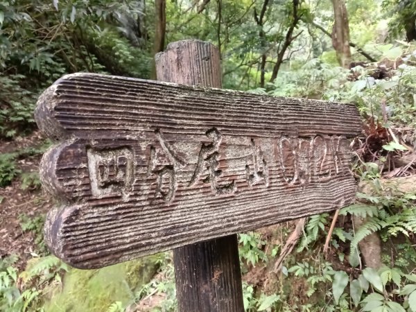 汐止區茄苳越嶺古道+上鹿窟崙山+九層坪山+四分尾山+大尖山8字走2981585