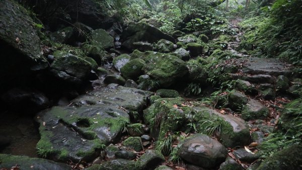 雙石縱走登山健行趣(小百岳24號&25號)2169519