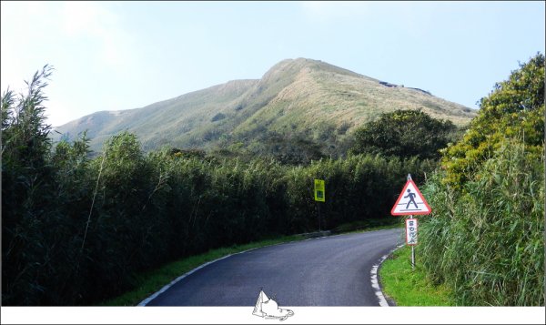 大屯山群峰步道(大屯山主峰、南峰、西峰)882571