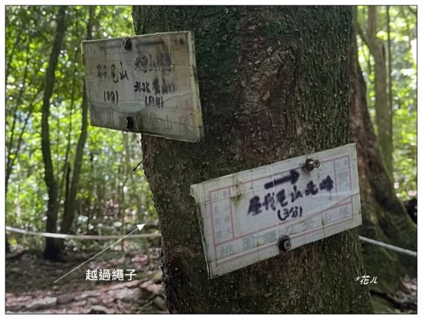 屋我尾山 北登山口 (大雪山林道31.3K)2985535