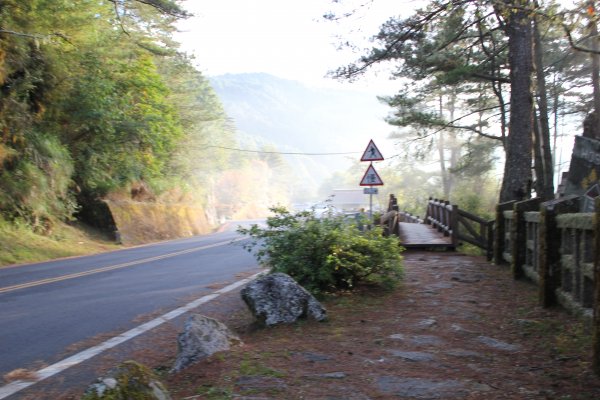 登峰造極--2018玉山主峰532660