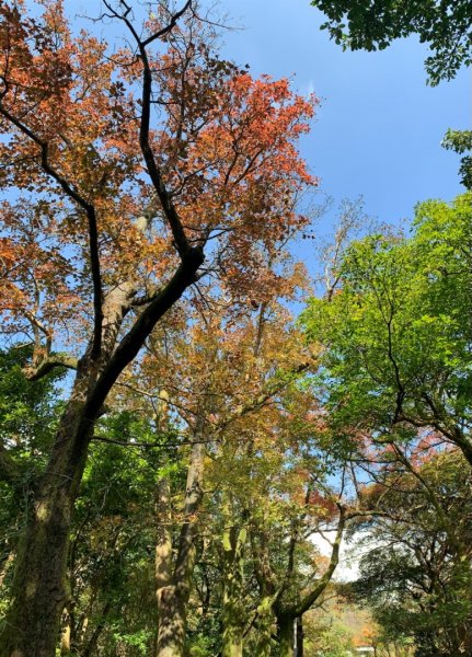 紗帽山登山步道—橫嶺古道—前山公園1966111