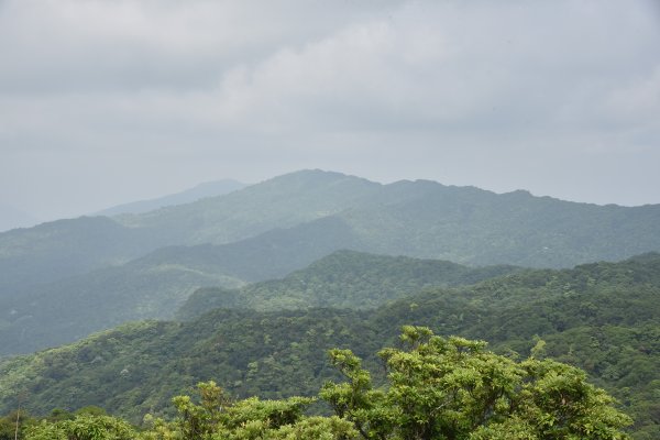 汐止大尖山1435813