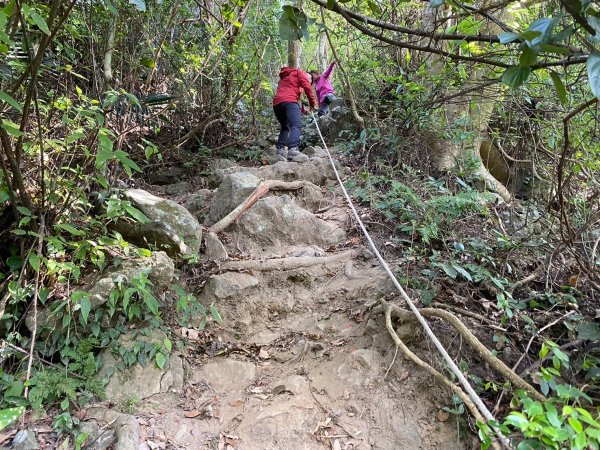金童山.汶水山.玉女山【冬天的郊山縱走=高山等級的享受】2680939