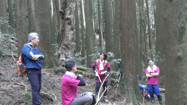 20160404苗栗加里山(二坪山入口)34234