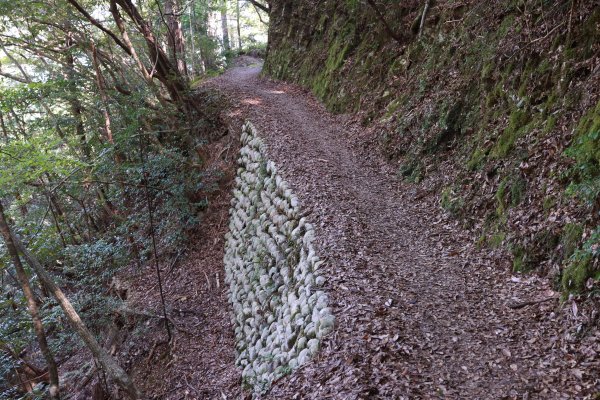 熊野参詣道中辺路：雲取越に祈りは続く2925779