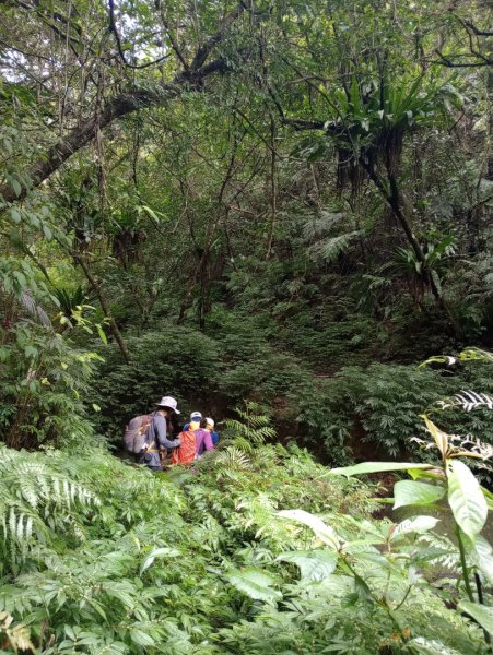 雷公埤山-鱷魚島觀景-小格頭獅頭山2001531