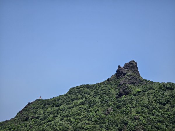 20260426 新北金瓜石半屏山無耳茶壺山3050518