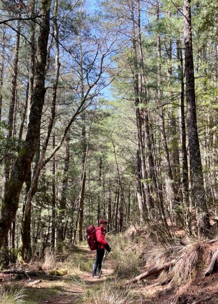 戀愛般的甘酸甜⋯ 閂山．鈴鳴山1342315