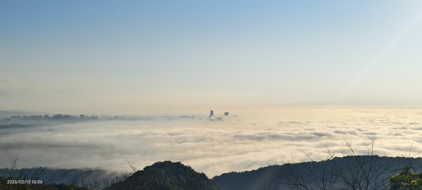 #觀音山 #雲海 #夕陽 #天空之城 #大赤鼯鼠（飛鼠） 2/132999424