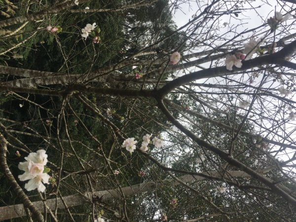 四十二份湧泉2723168