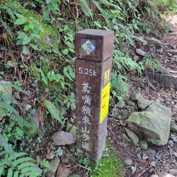 稍來山（小百岳）2543562