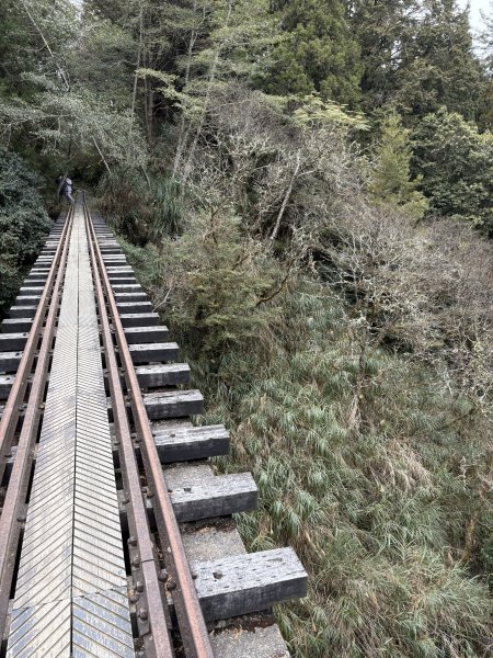 眠月線健行2992982