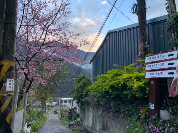 寒流凍雨中獨攀東埔上郡大山下開高山 追雪失敗 2022.2.19-2022.2.201617090